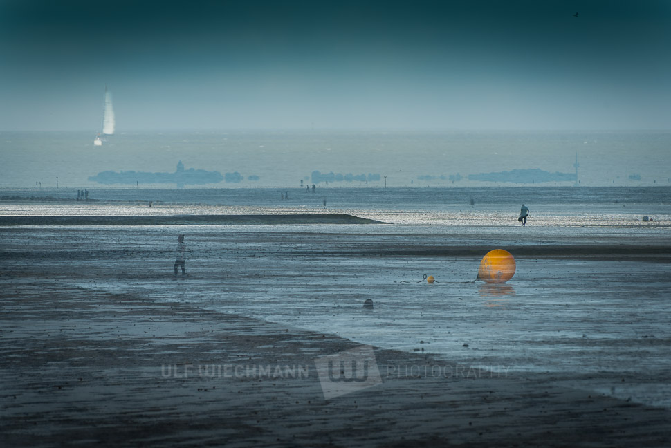 Elbe during low tide